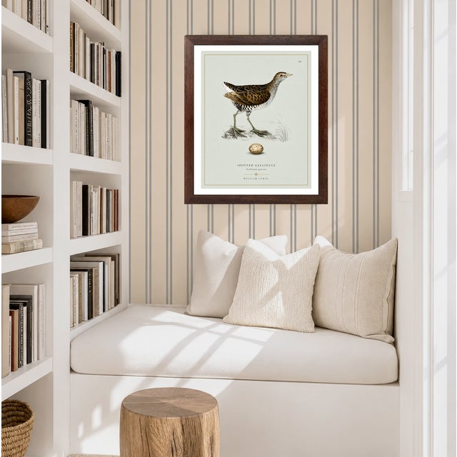 William Lewin 1789 Waterbirds Fine Art Gallery Board Print - The Spotted Gallinule For Sale - Image 11 of 15
