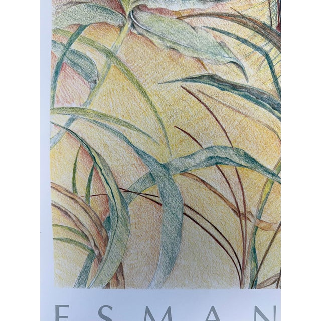 1980s 1984, Grey Crowned Crane, Offset Lithography Print, Artist Louise Freshman Brown For Sale - Image 5 of 6