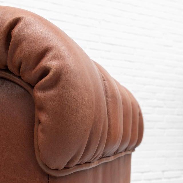 DS-85 Lounge Chair from de Sede, 1970s For Sale - Image 10 of 16