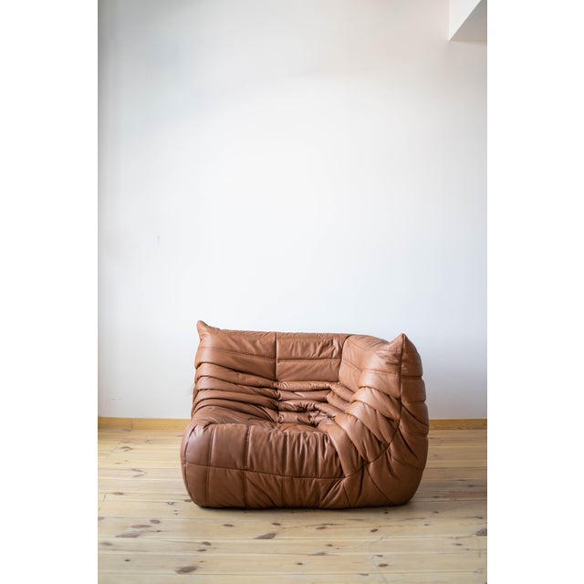 Brown Leather Togo Living Room Set by Michel Ducaroy for Ligne Roset, Set of 5 For Sale - Image 13 of 18
