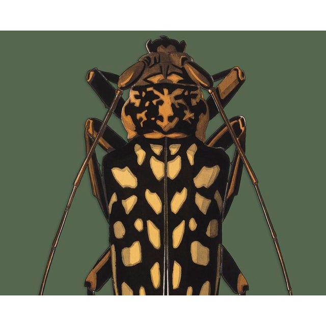 The series was produced by CFA editions from original pochior prints by E.A. Seguy. The series of insects that Seguy...