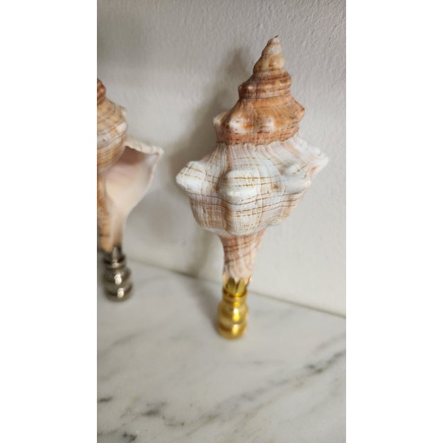2020s Pair of White Spindle Sea Shell Lamp Finials, Set of 2, Chrome Base For Sale - Image 5 of 5