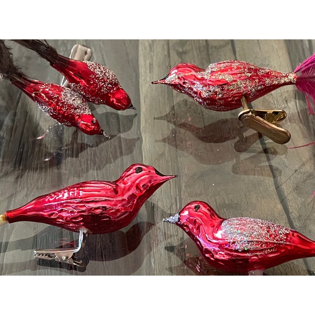 Vintage Red Glass Feathered Birds Clip on Christmas Ornaments For Sale - Image 4 of 5