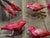 Vintage Red Glass Feathered Birds Clip on Christmas Ornaments For Sale - Image 4 of 5