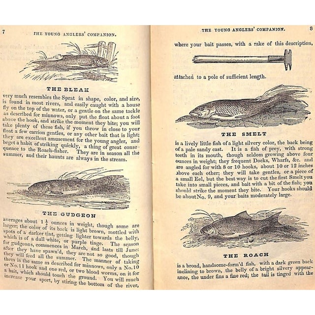 Paper "The Young Anglers' Companion" 1830 For Sale - Image 7 of 11
