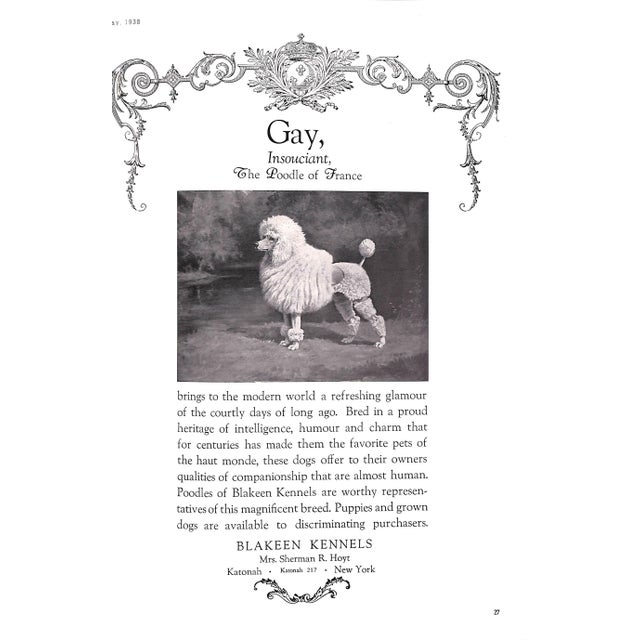 Town & Country May 1938 For Sale - Image 9 of 9