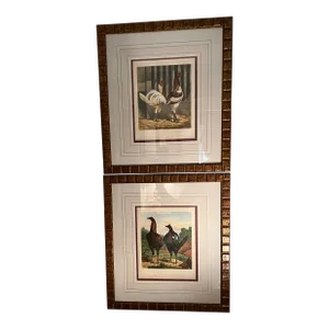Late 19th Century Cassell (Poultry) Original Framed Lithographs - Set of 2