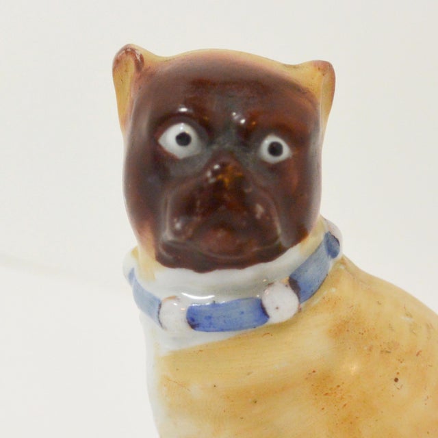 This exquisite, antique porcelain Pug dog is seated with open front legs. He is wearing a bright blue, ribbon collar...