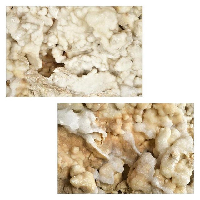 Calcite Concretion on Teak Root Base For Sale - Image 4 of 9