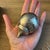 1960s Mid-Century Modern Sterling Silver 10 Appetizer Sticks in Hedgehog For Sale - Image 9 of 9