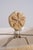 Sand Pair of Sea Shore Beach Sand Dollar Rope Lamps W/ Shades For Sale - Image 8 of 15