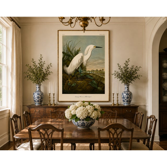 Snowy Heron or White Egret, Museum Style Audubon Bird Print, 20" X 30" For Sale - Image 10 of 12