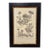 Vintage Mesembryanthemum Falc Atum Botanical Illustration Print in Black & Gold Frame For Sale