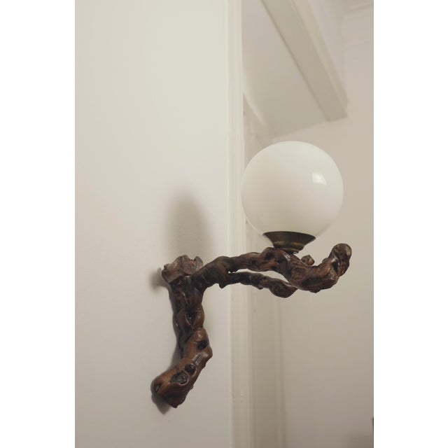 Vintage Organic Brutalist Vine Root Wall Lamp with Opaline Globe, 1960s For Sale - Image 12 of 18