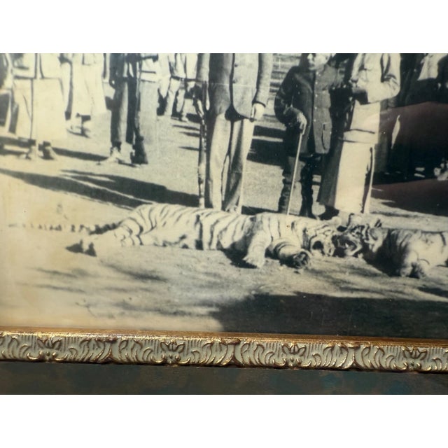Antique Original 19th Century Framed Indian Dual Tiger Hunt Sepia Photographs For Sale - Image 9 of 13