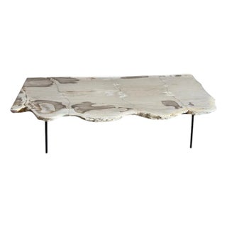 Andrianna Shamaris Minimalist Live Edge Petrified Wood Coffee Table For Sale