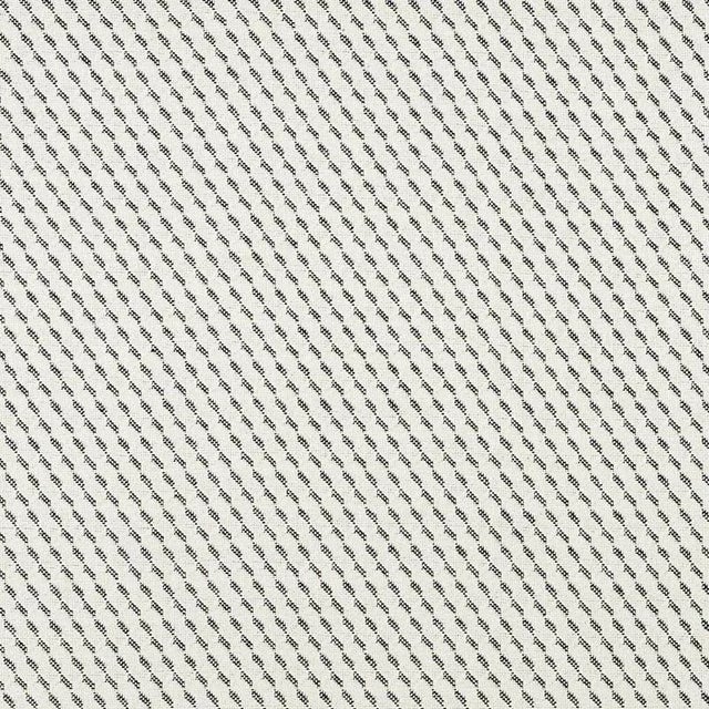 Schumacher Sullivan Fabric in Black For Sale
