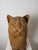 Montelupo Fiorentino Tuscan Artist, Sculpture of a Seated Cat, 19th Century, Terracotta For Sale - Image 14 of 18