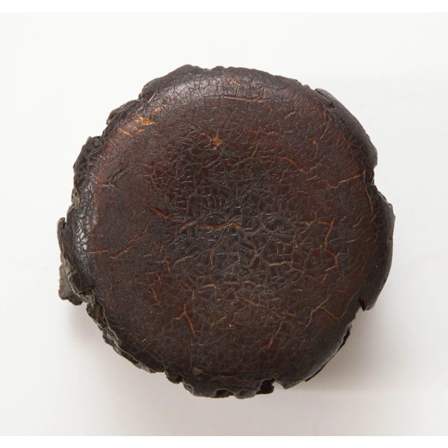 Brown Chinese Carved Root Wood Box For Sale - Image 8 of 9