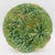 Circa 1880-1900 majolica begonia leaf plate by Joseph Roth, London. Double begonia leaves with stems. The impression stamp...