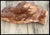 Handcrafted Wood Mantel Accents 3pc Tray Bowl Bottle For Sale - Image 4 of 12