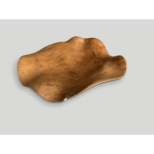 Contemporary Andrianna Shamaris Impressive Sculptural Teak Wood Bowl Or Platter For Sale - Image 3 of 5