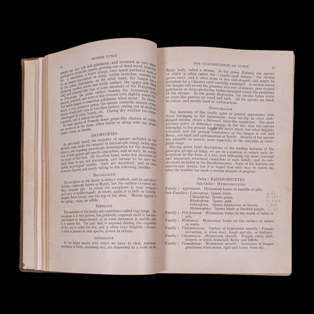 Antique Reference Book, British Fungi, George Massee, English, Natural, Science For Sale - Image 6 of 12