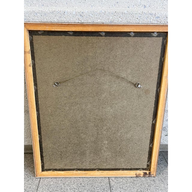 Scientific Illustrations of Birds by Saverio Manetti, Hand-Painted Intaglio - A Set of 6 For Sale - Image 12 of 12