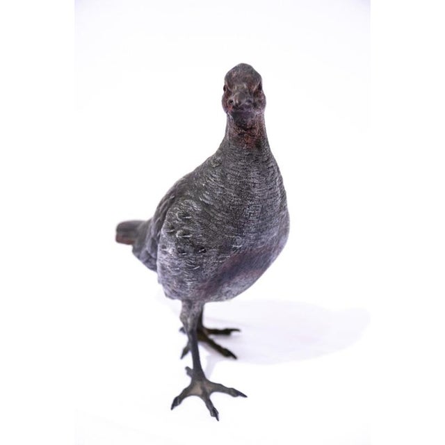 1950s Vintage French Bronze Pigeon Sculpture, 1950s For Sale - Image 5 of 5