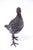 1950s Vintage French Bronze Pigeon Sculpture, 1950s For Sale - Image 5 of 5