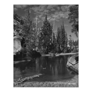 1976 Yosemite Landscape Photograph by Don Ware