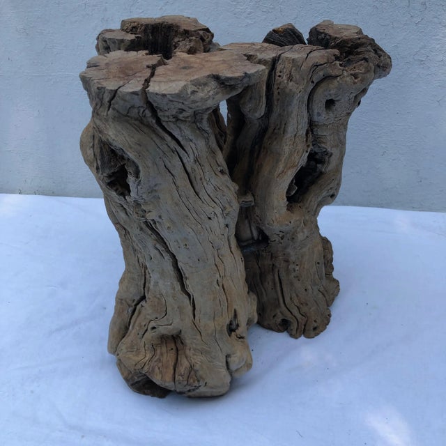 Root Wood Table With Glass Top For Sale - Image 10 of 11