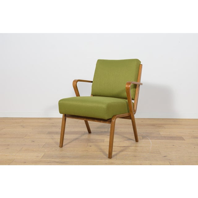 Armchair by Selman Selmanagic for Veb Deutsche Werkstätten Hellerau, Germany, 1950s For Sale - Image 16 of 16