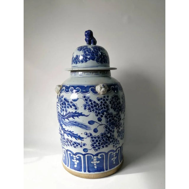 Chinese Blue and White Phoenix Porcelain Ginger Jar For Sale - Image 3 of 9