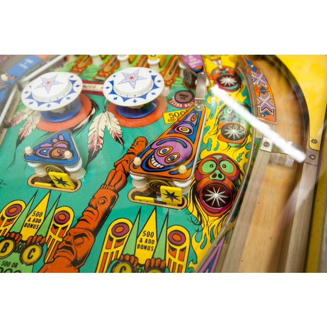 Totem Pinball Machine from Gottlieb, 1979 For Sale - Image 10 of 18