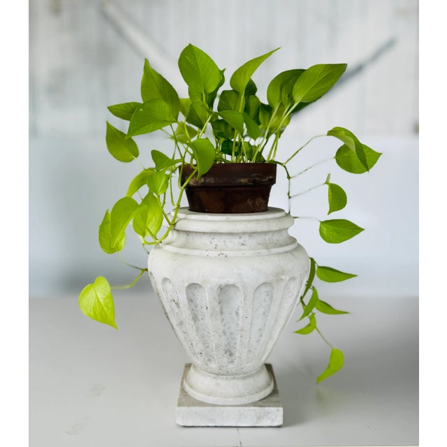 Marble Urns Italian Neo-Classical Style - A Pair For Sale In Providence - Image 6 of 12