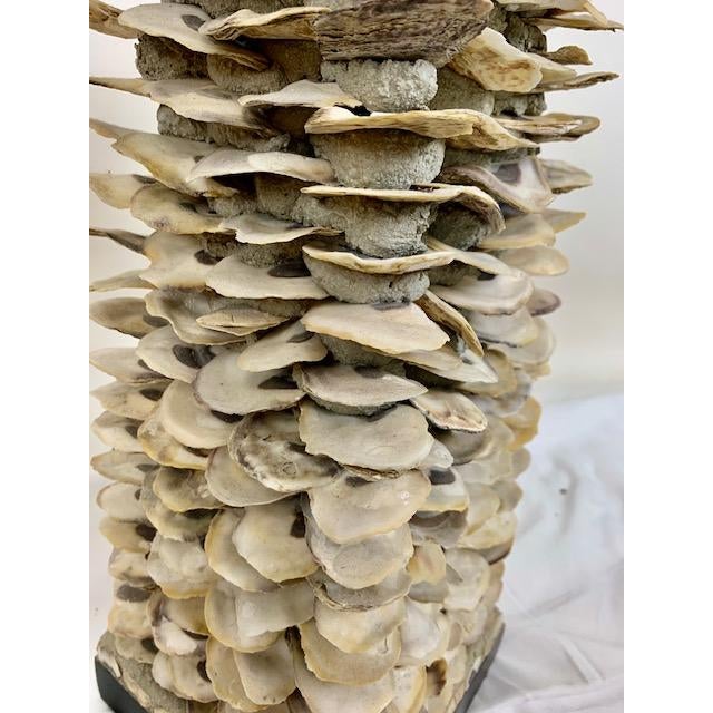 1990s 1990s Currey & Company Villamare Oyster Shell Table Lamps a Pair For Sale - Image 5 of 10