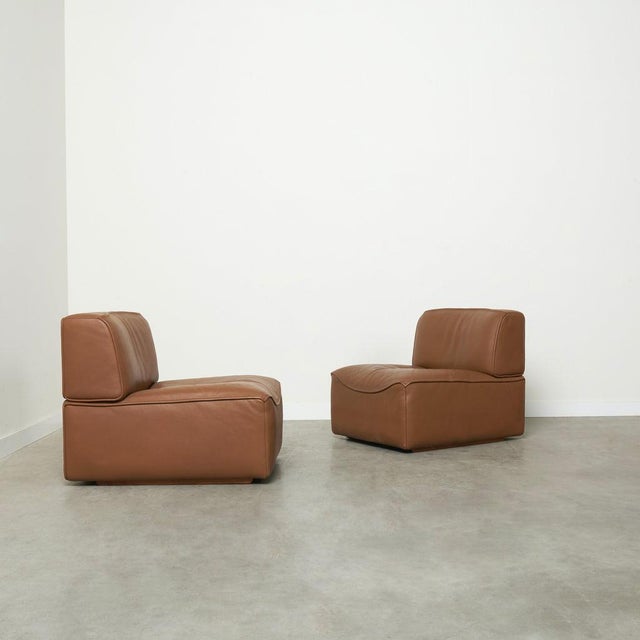 Brown Set of Ds-15 Lounge Chairs from de Sede, 1970s For Sale - Image 8 of 16