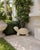 Vintage Cast Stone Turtle Garden Statue For Sale - Image 12 of 12