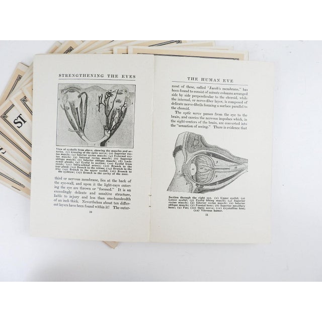 Strengthening the Eyes Quack Medicine Book | Chairish