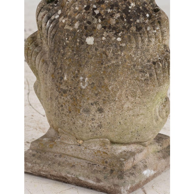 Gray Composite Stone Figure of Venus Emerging From a Shell, England Mid 20th C. For Sale - Image 8 of 11