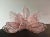 Pair of Murano Six-Tier Felci Wall Sconce – 10 Pink Glasses For Sale - Image 11 of 11