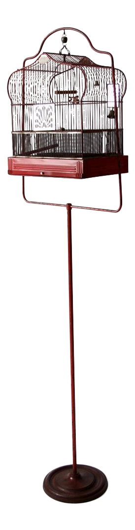 what food can i feed my puppy