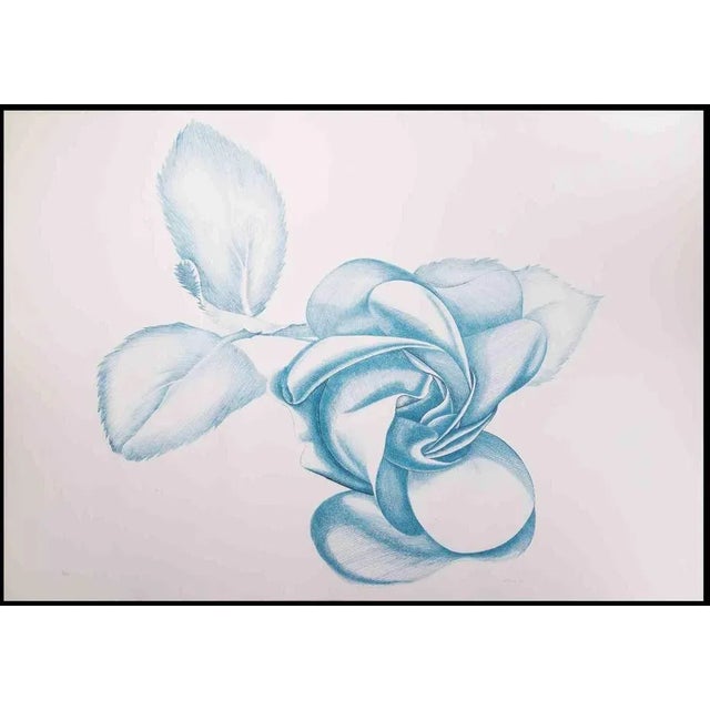 Blue Rose is an original contemporary artwork realized by Giacomo Porzano in 1970s. Colored etching Hand-signed on the...