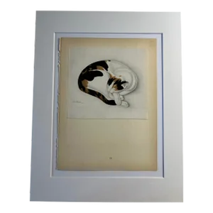 1942 Sophie the Cat Dulac Print