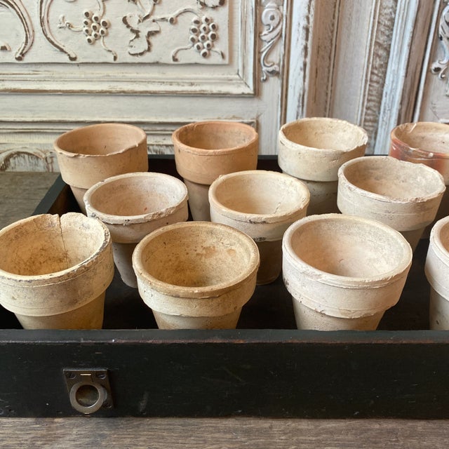 English Vintage Salvaged Beige Terra-Cotta Flowerpots in Painted Wooden Drawer - Set of 19 For Sale - Image 3 of 12