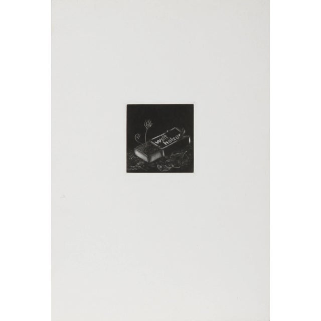 Artist: Gerde Ebert, German (1947 - ) Title: Welfholzer Year: 1974 Medium: Mezzotint, signed and numbered in pencil...