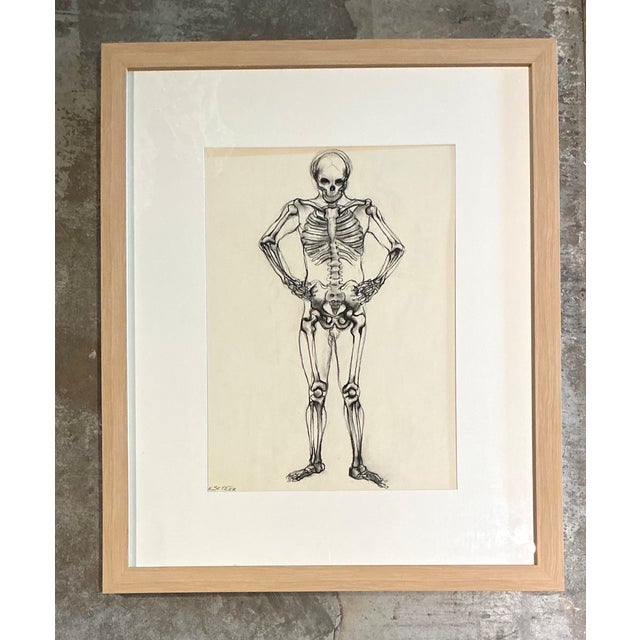 Vintage Framed Skeleton Study on Paper For Sale - Image 4 of 12
