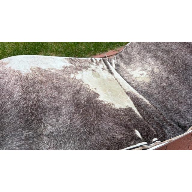 Burnt Umber Vintage Modernist Chrome Chaise Lounge Attributed to Le Corbusier Lc4 With Cowhide Upholstery For Sale - Image 8 of 11