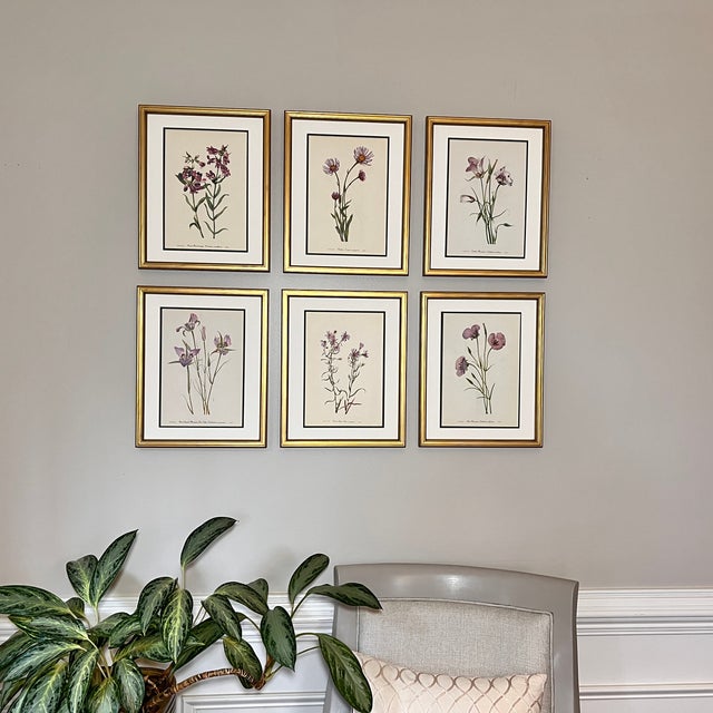 Vintage Botanical Set of 6 -Framed- Authentic Vintage 1953 Prints For Sale - Image 4 of 6